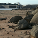 Image for article titled The Reservoir That Made the World Pay Attention to California's Drought